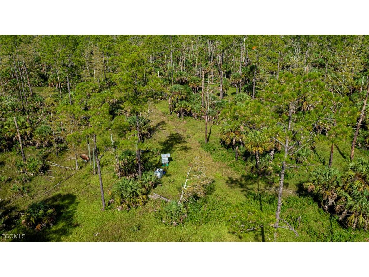 1375 54th Avenue SE Naples FL 34117 2025013747 image17