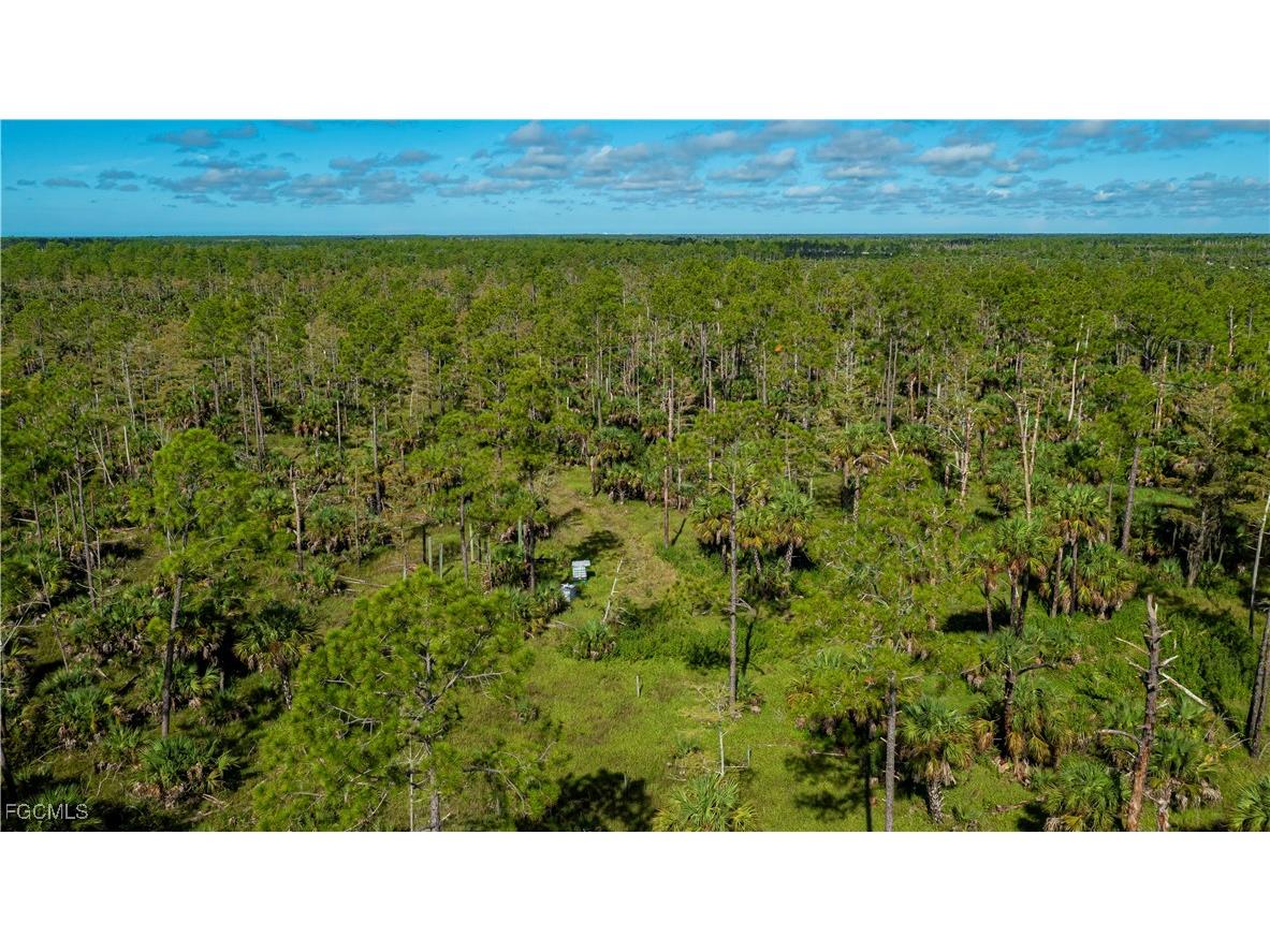 1375 54th Avenue SE Naples FL 34117 2025013747 image18