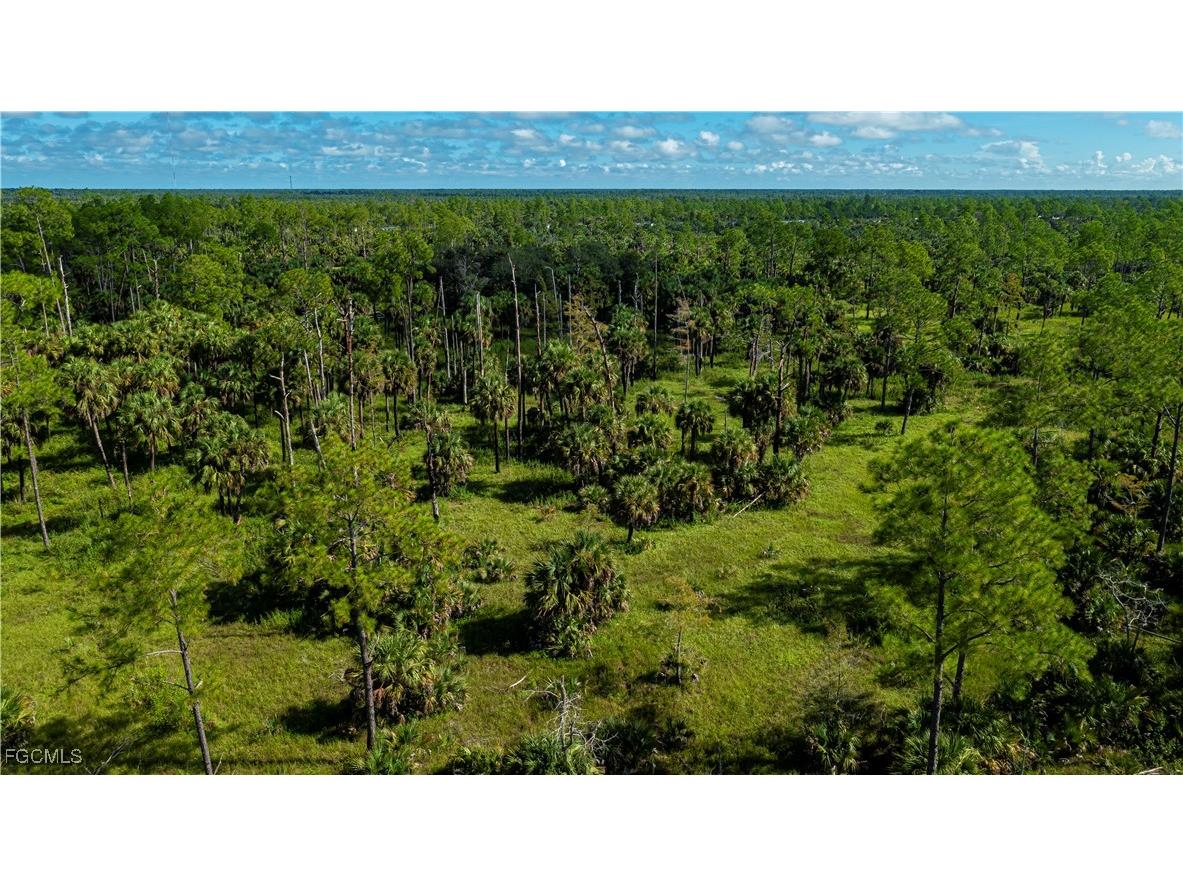 1375 54th Avenue SE Naples FL 34117 2025013747 image19