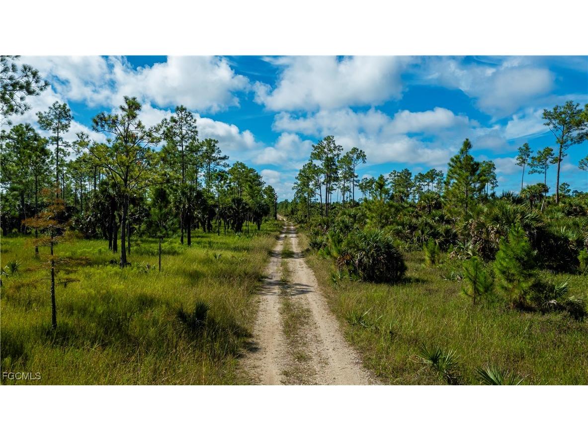 1375 54th Avenue SE Naples FL 34117 2025013747 image20