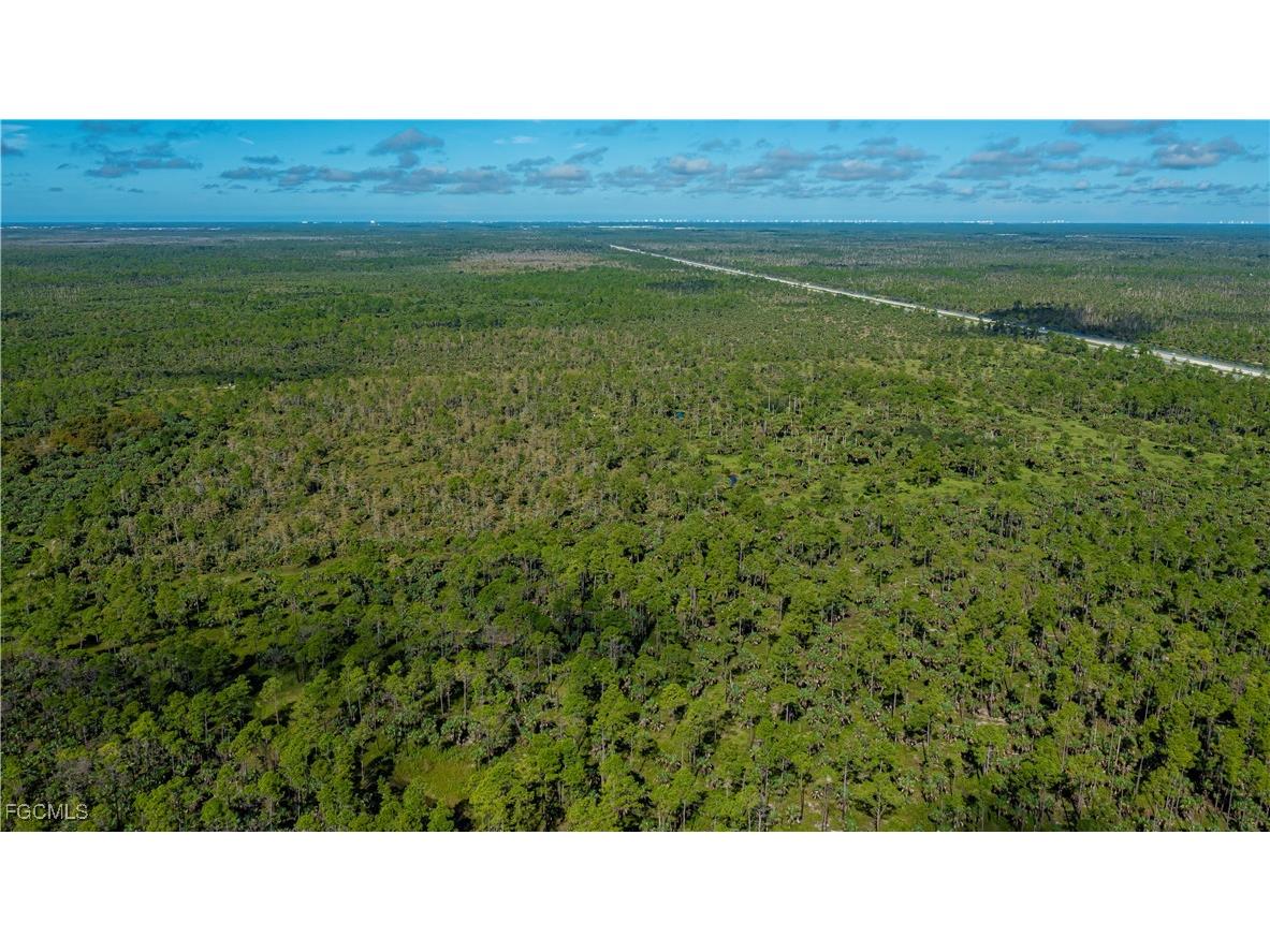 1375 54th Avenue SE Naples FL 34117 2025013747 image22