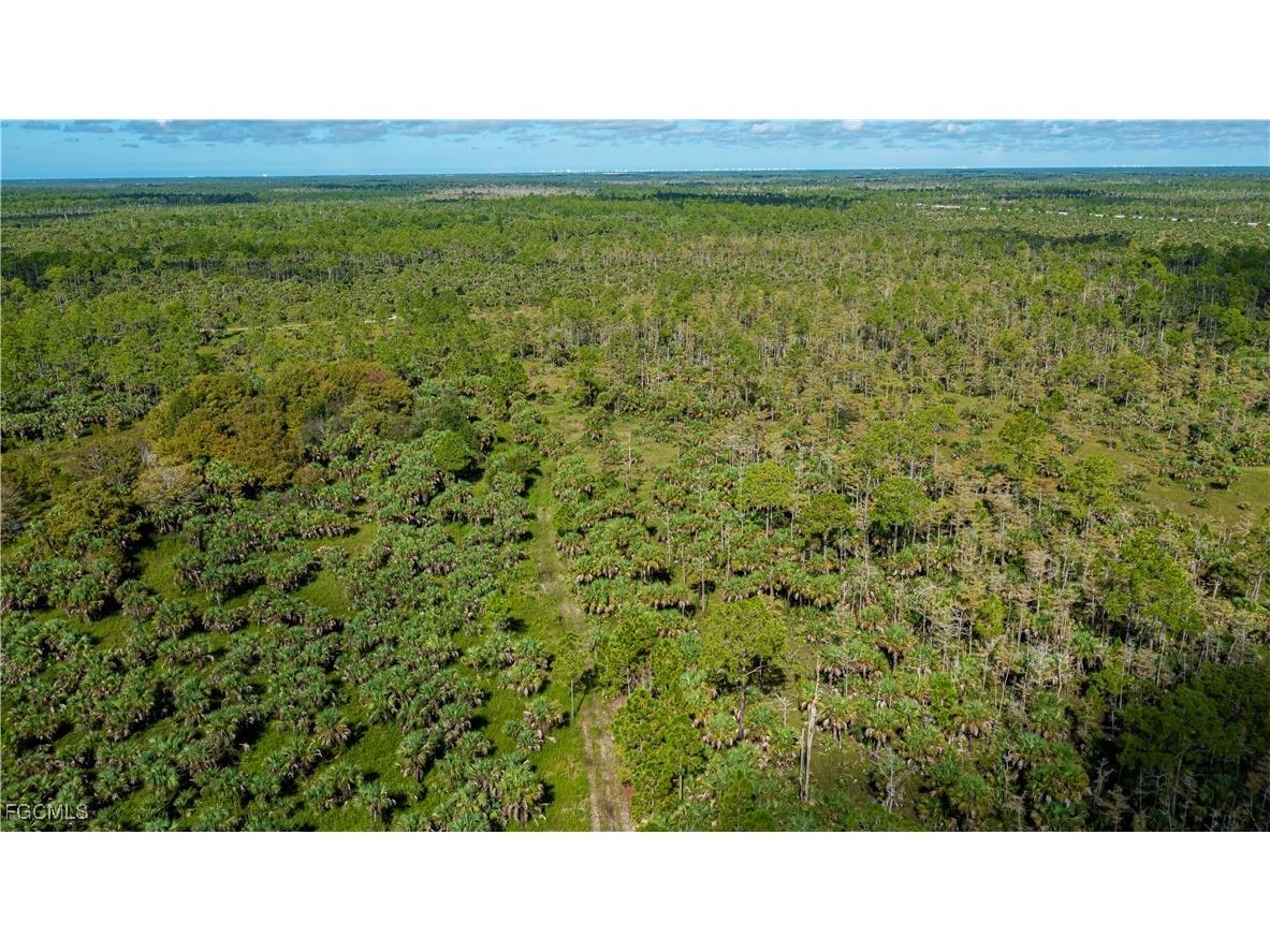 1375 54th Avenue SE Naples FL 34117 2025013747 image27