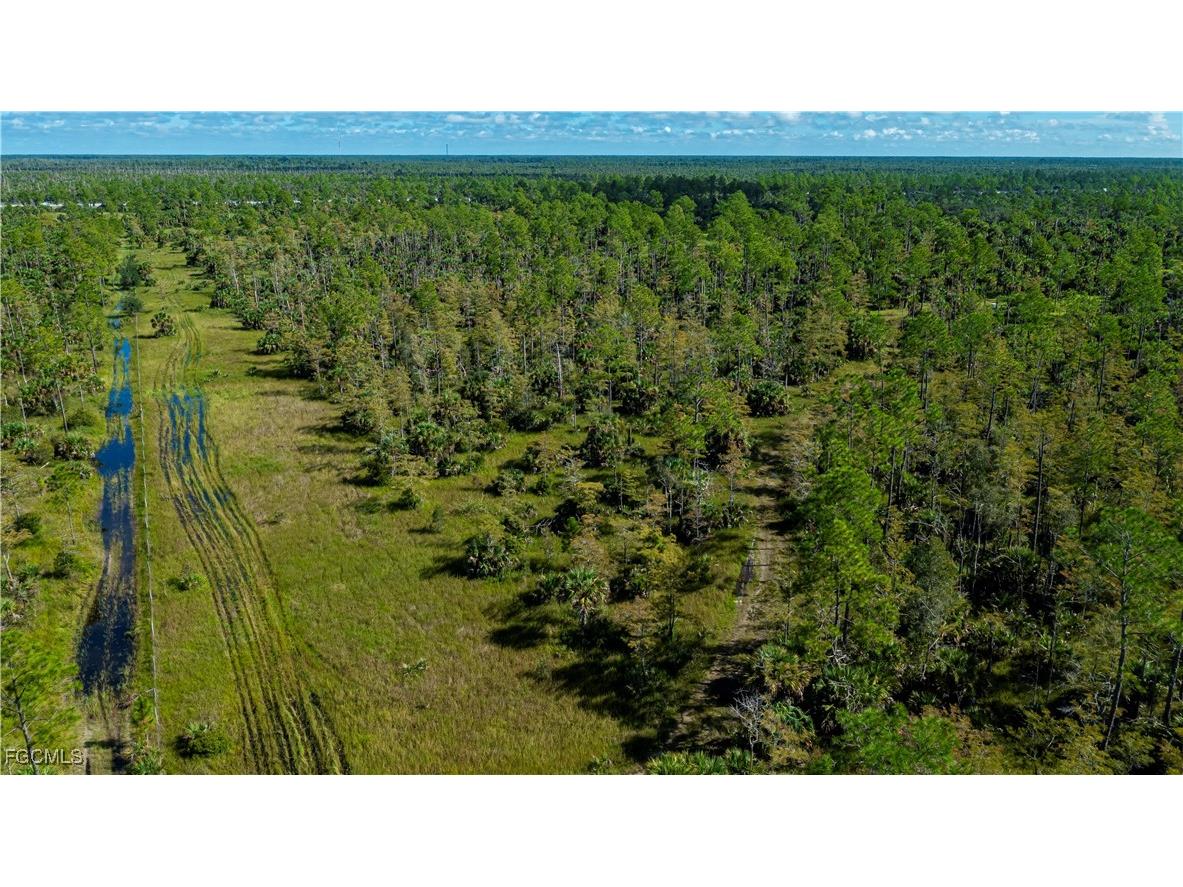 1375 54th Avenue SE Naples FL 34117 2025013747 image28