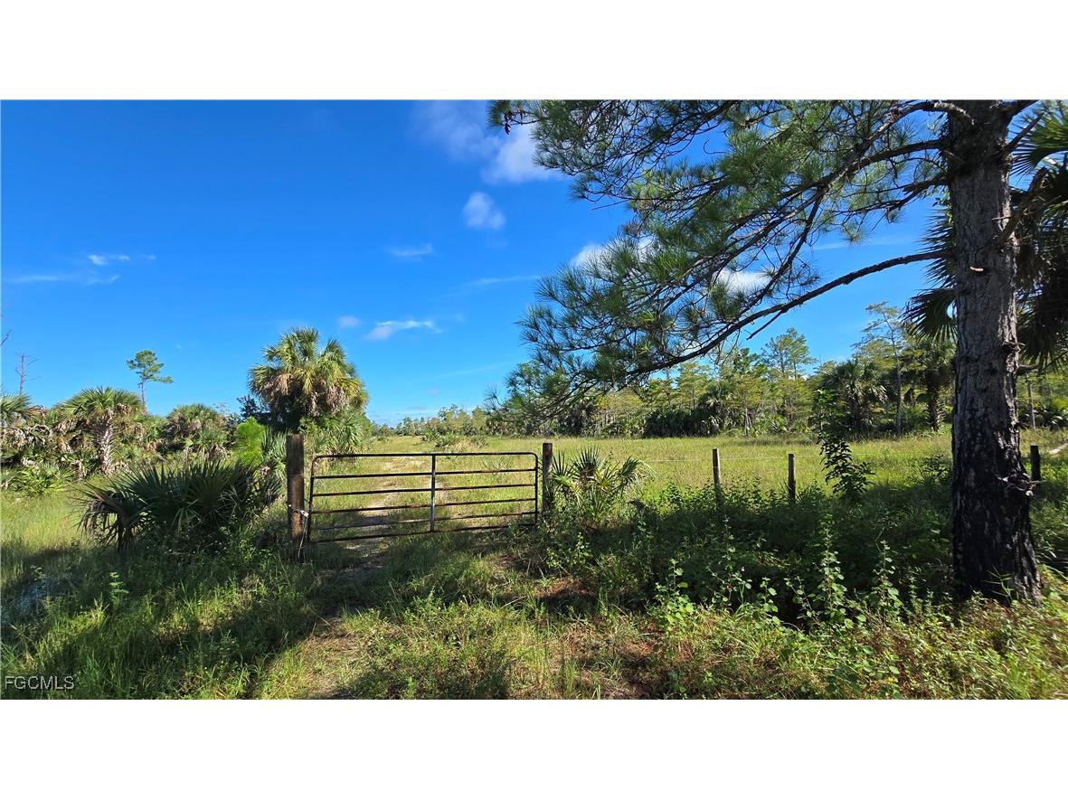 1375 54th Avenue SE Naples FL 34117 2025013747 image45