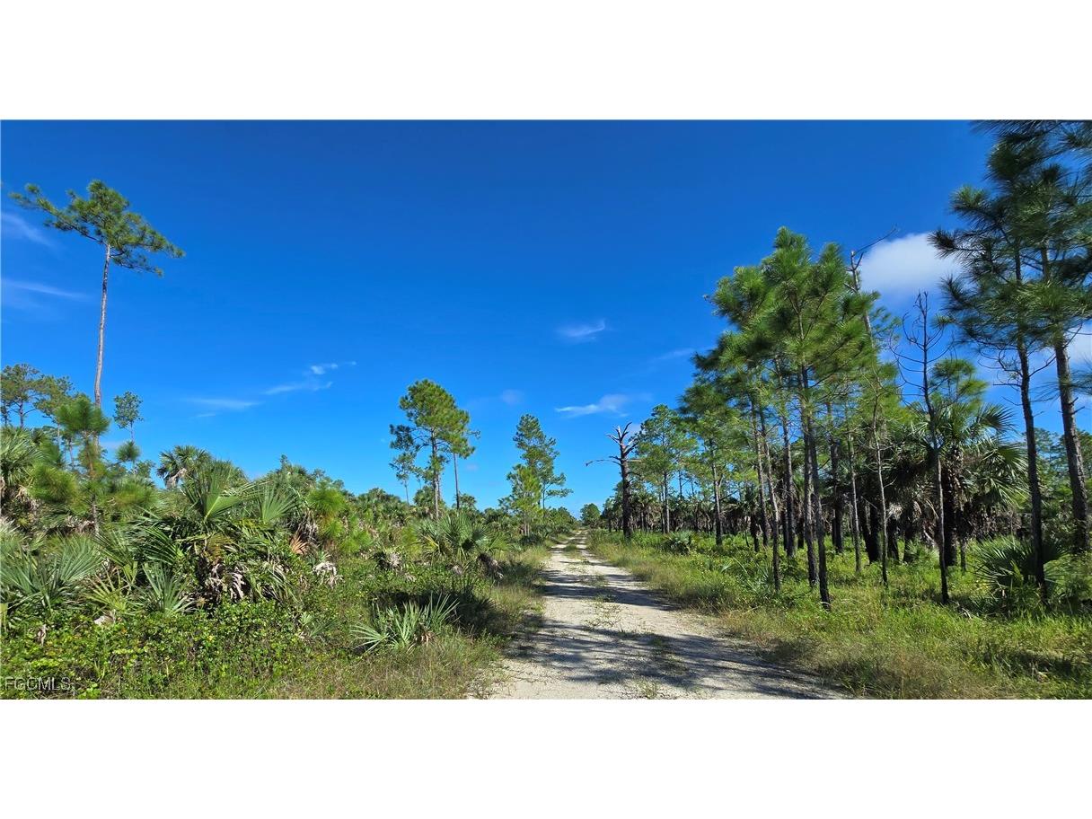 1375 54th Avenue SE Naples FL 34117 2025013747 image47