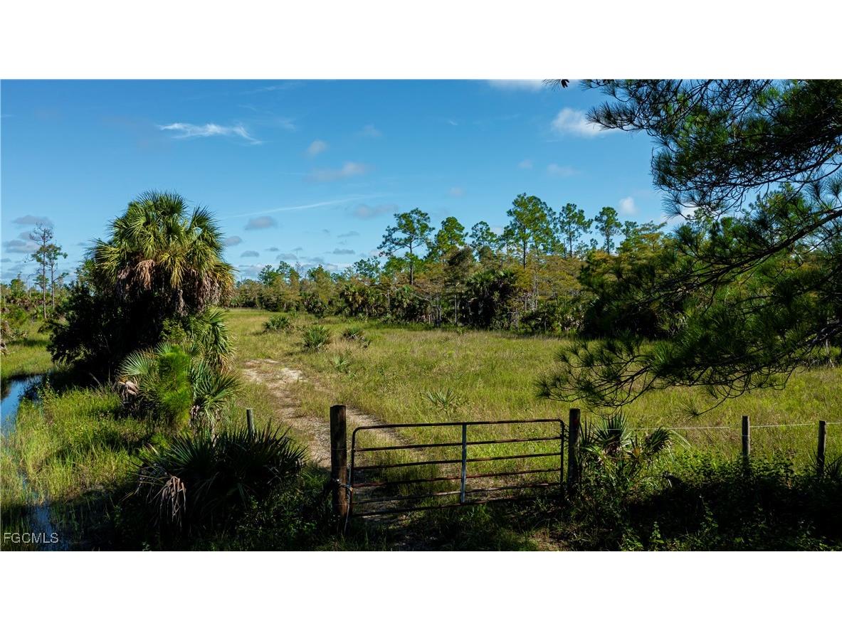 1375 54th Avenue SE Naples FL 34117 2025013747 image49