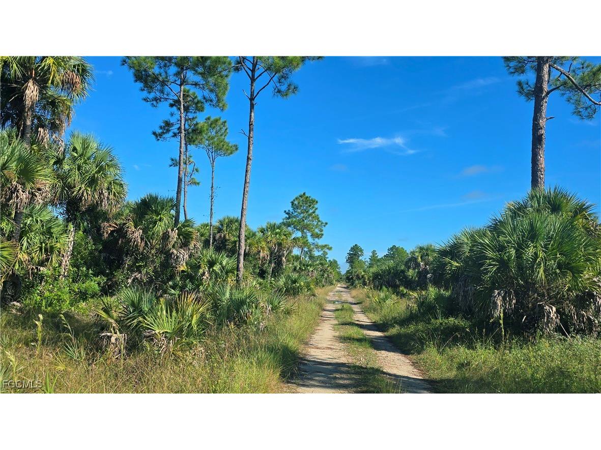 1375 54th Avenue SE Naples FL 34117 2025013747 image9