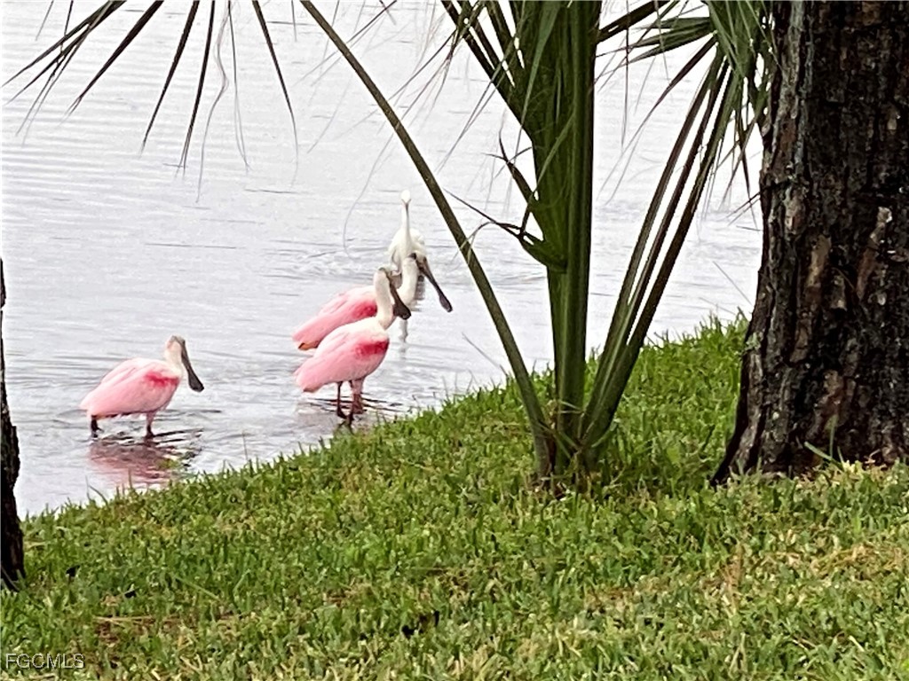 13779 Golden Palms Circle Fort Myers FL 33913 2025009011 image17