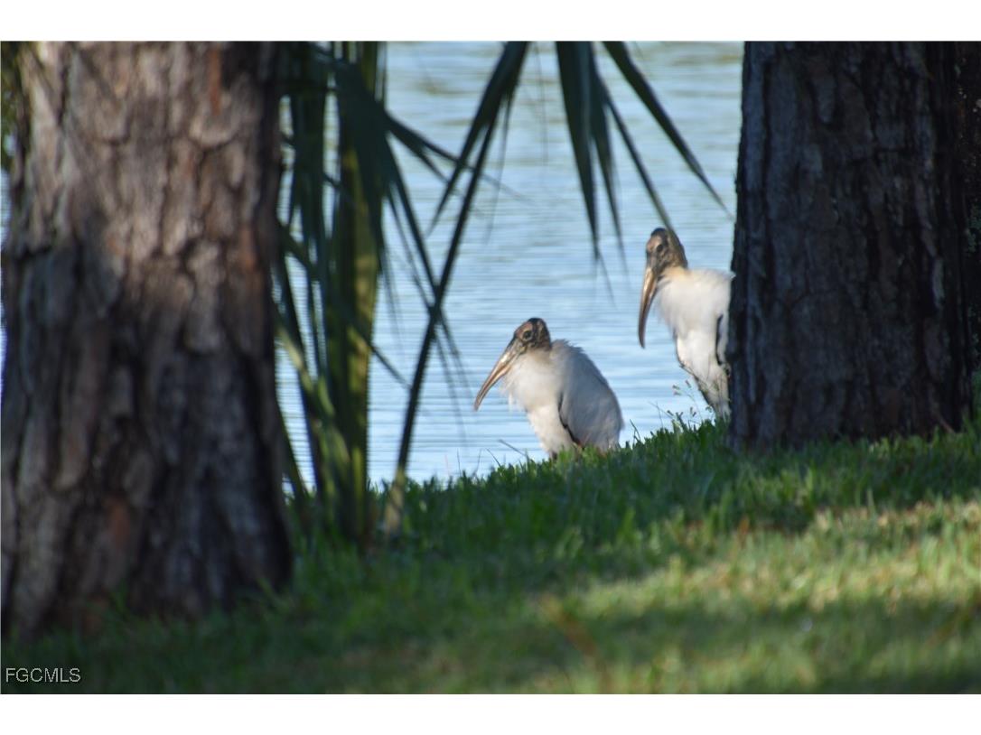 13779 Golden Palms Circle Fort Myers FL 33913 2025009011 image18