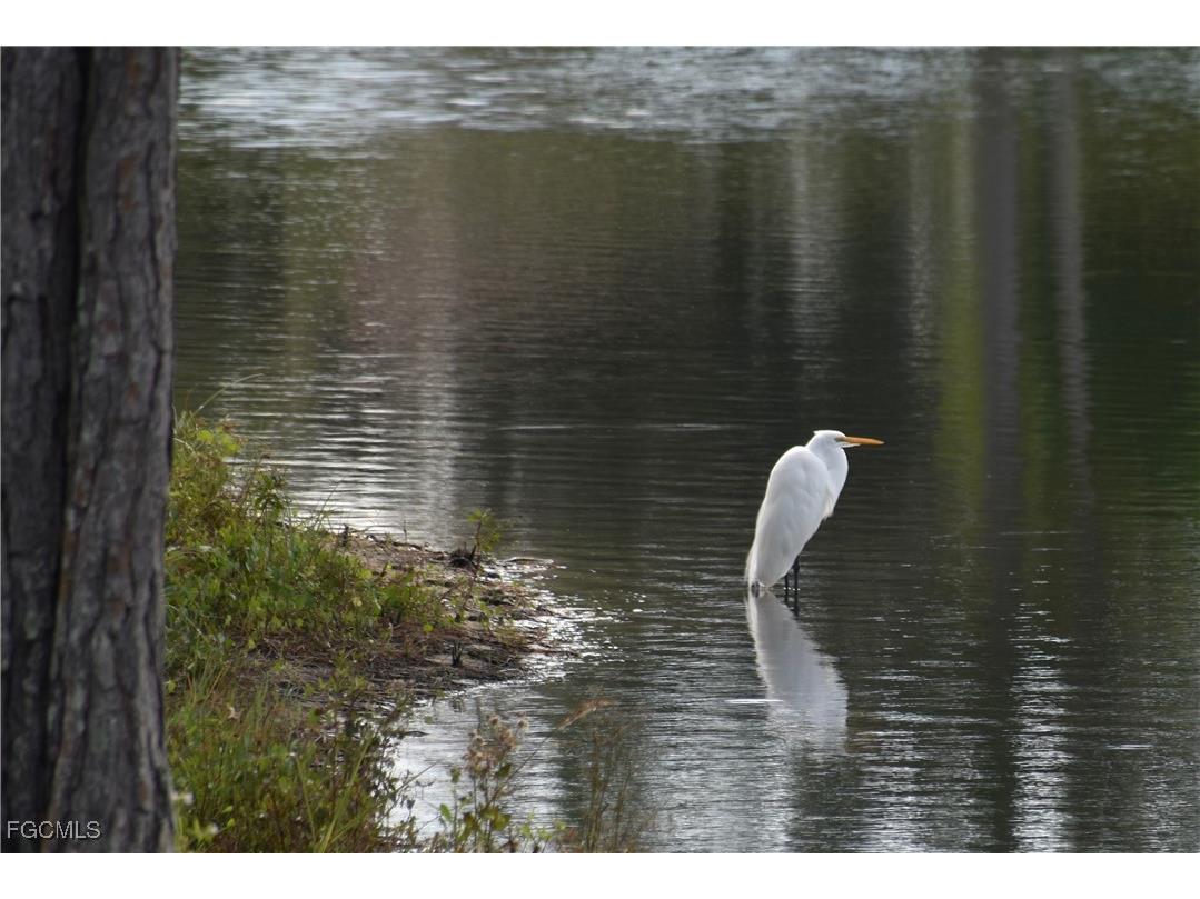 13779 Golden Palms Circle Fort Myers FL 33913 2025009011 image19