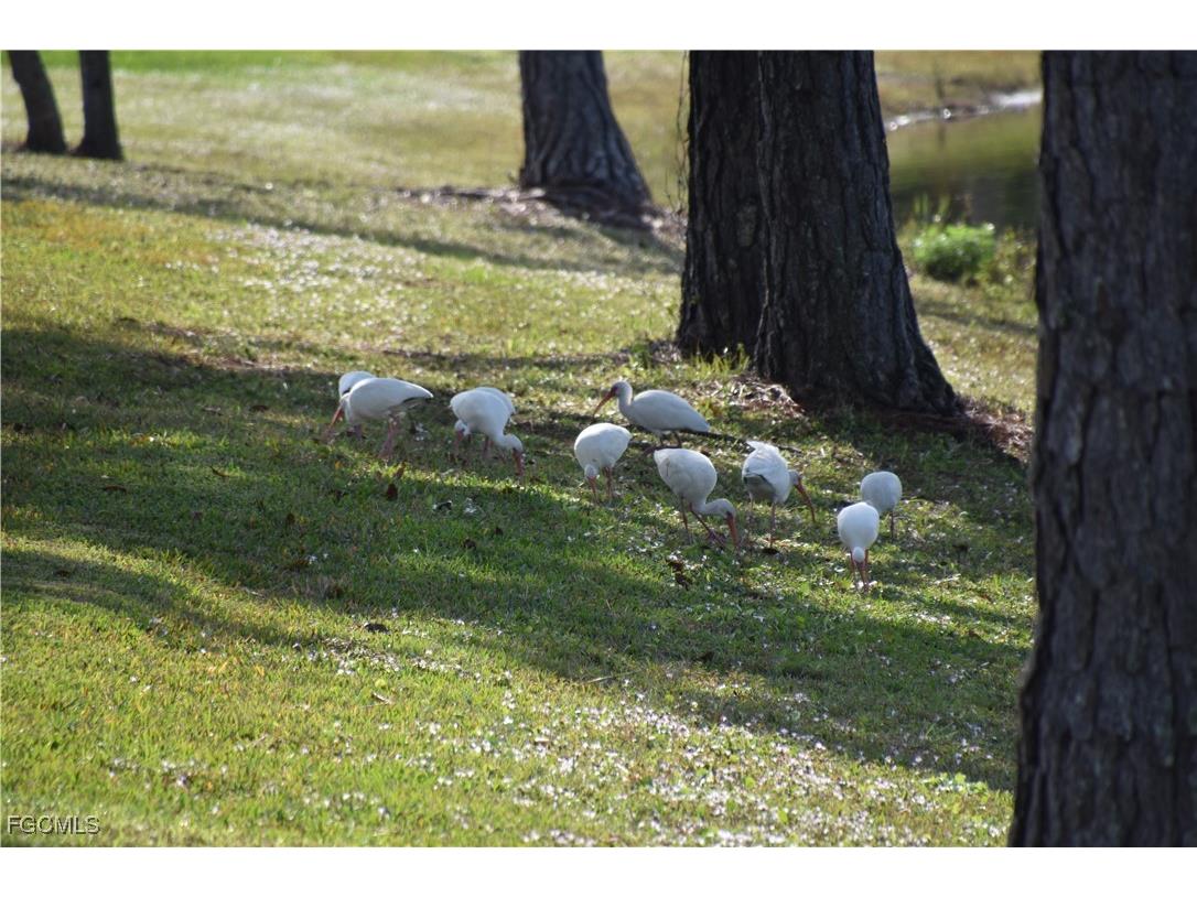 13779 Golden Palms Circle Fort Myers FL 33913 2025009011 image20