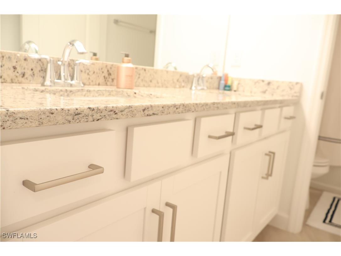 13802 Pine Lodge Lane Fort Myers FL 33913 225071597 image26