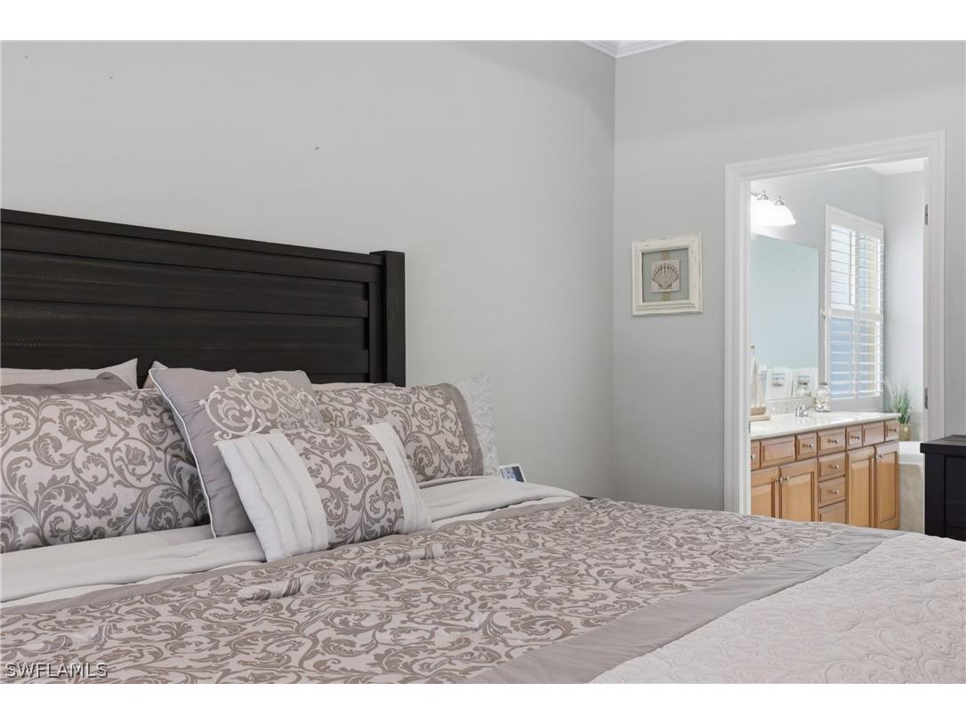 13818 Farnese Drive Estero FL 33928 226010271 image17