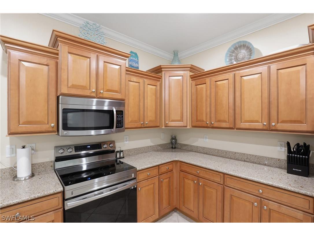 13818 Farnese Drive Estero FL 33928 226010271 image9