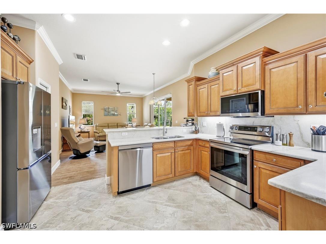13871 Farnese Drive Estero FL 33928 226019774 image13