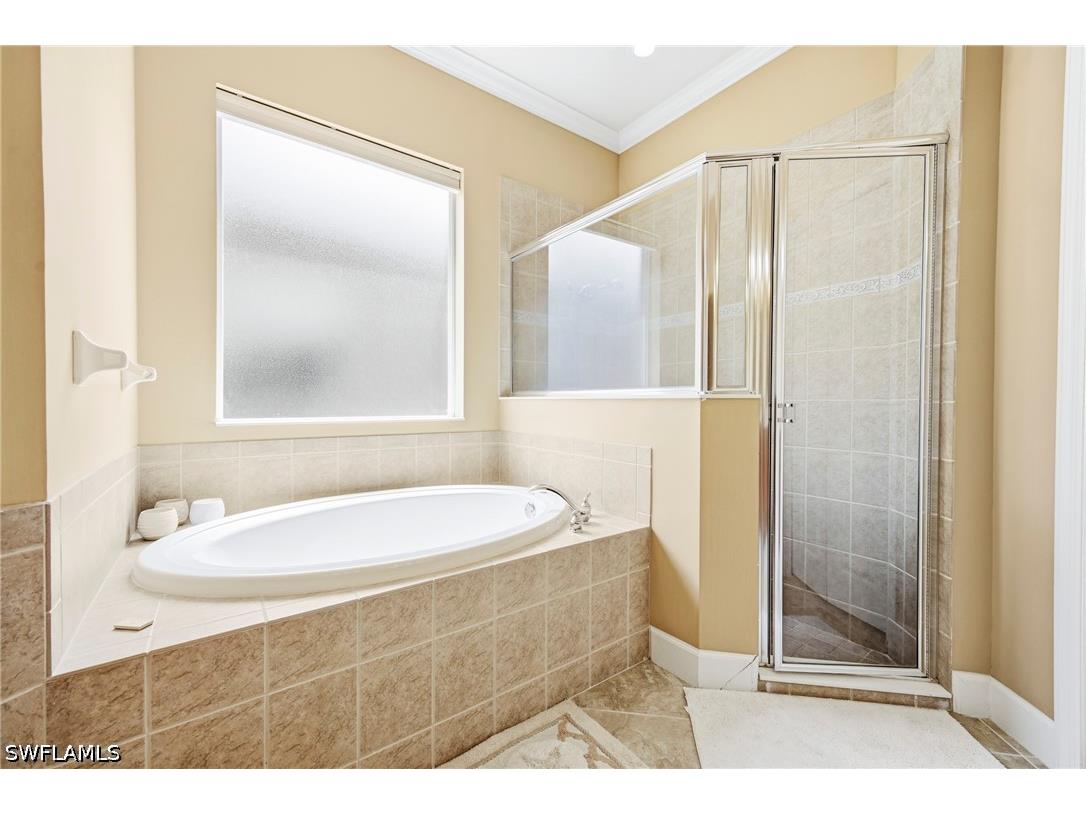 13871 Farnese Drive Estero FL 33928 226019774 image18