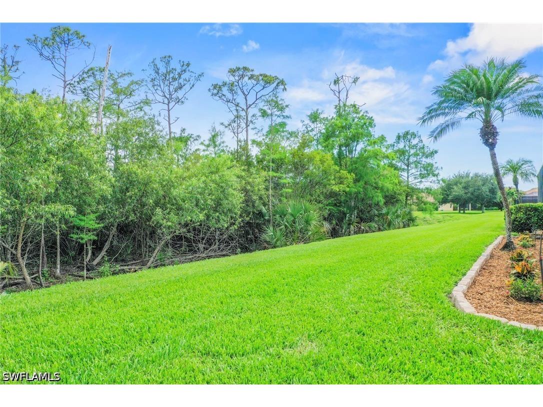 13871 Farnese Drive Estero FL 33928 226019774 image33