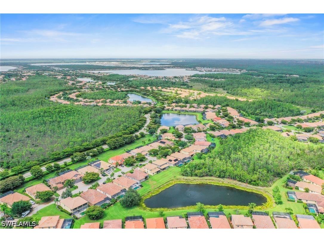 13871 Farnese Drive Estero FL 33928 226019774 image34