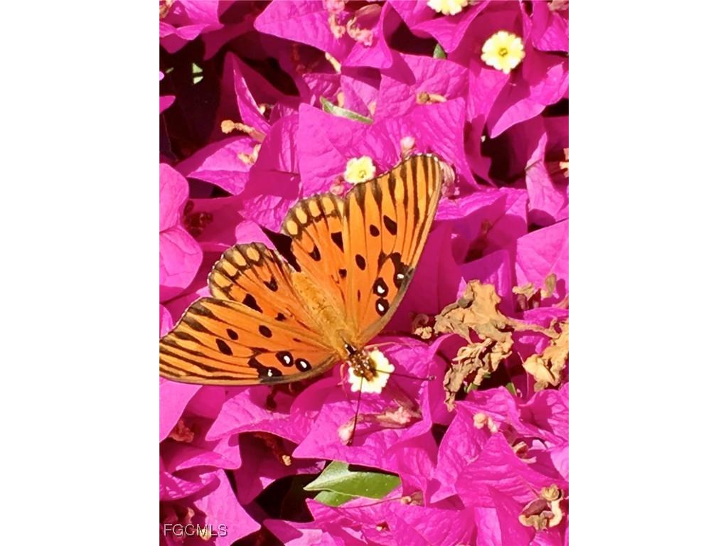 1390 Middle Gulf Drive #E Sanibel FL 33957 2025011570 image34