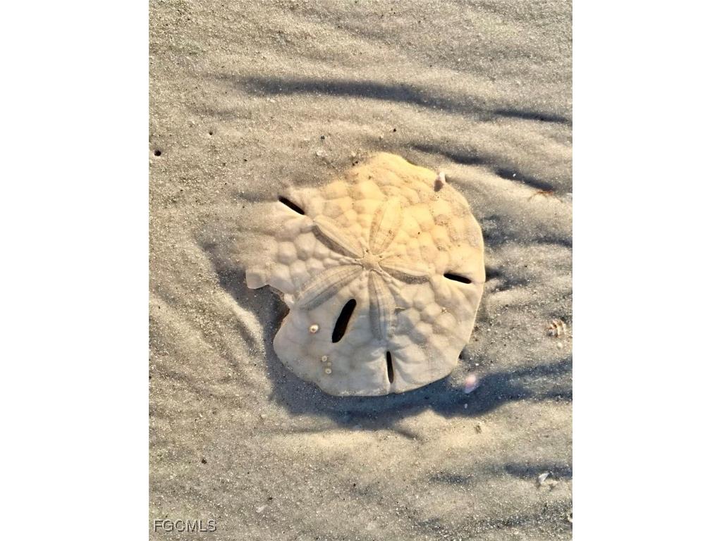 1390 Middle Gulf Drive #E Sanibel FL 33957 2025011570 image43