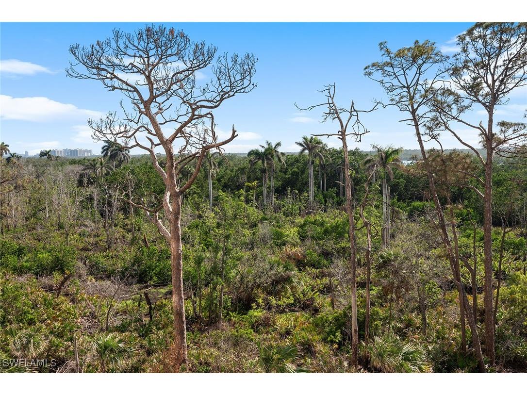 13945 Old Coast Road #406 Naples FL 34110 225032134 image39