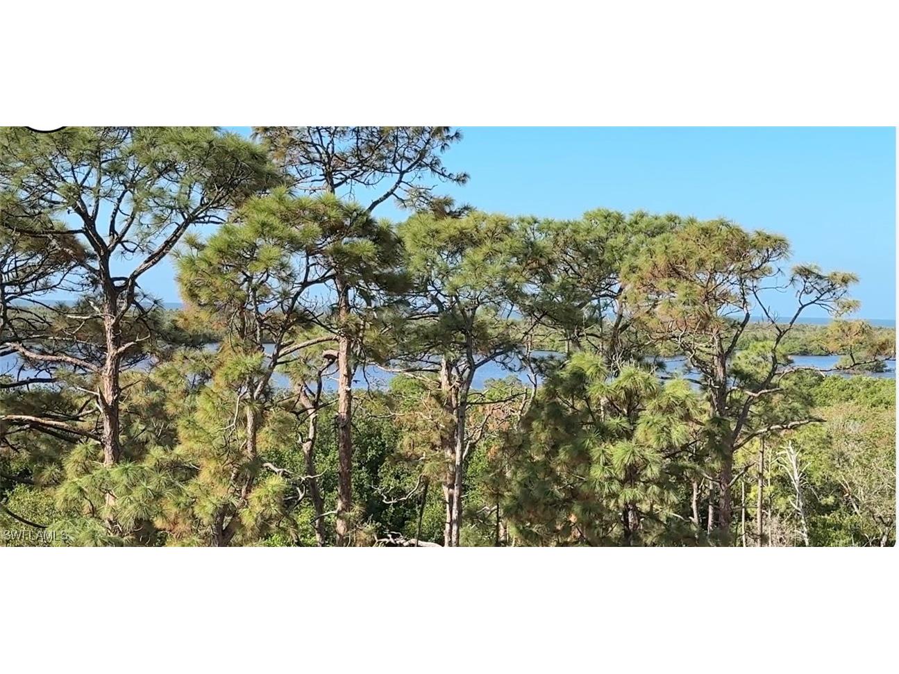 13955 Old Coast #501 Naples FL 34110 225062555 image6