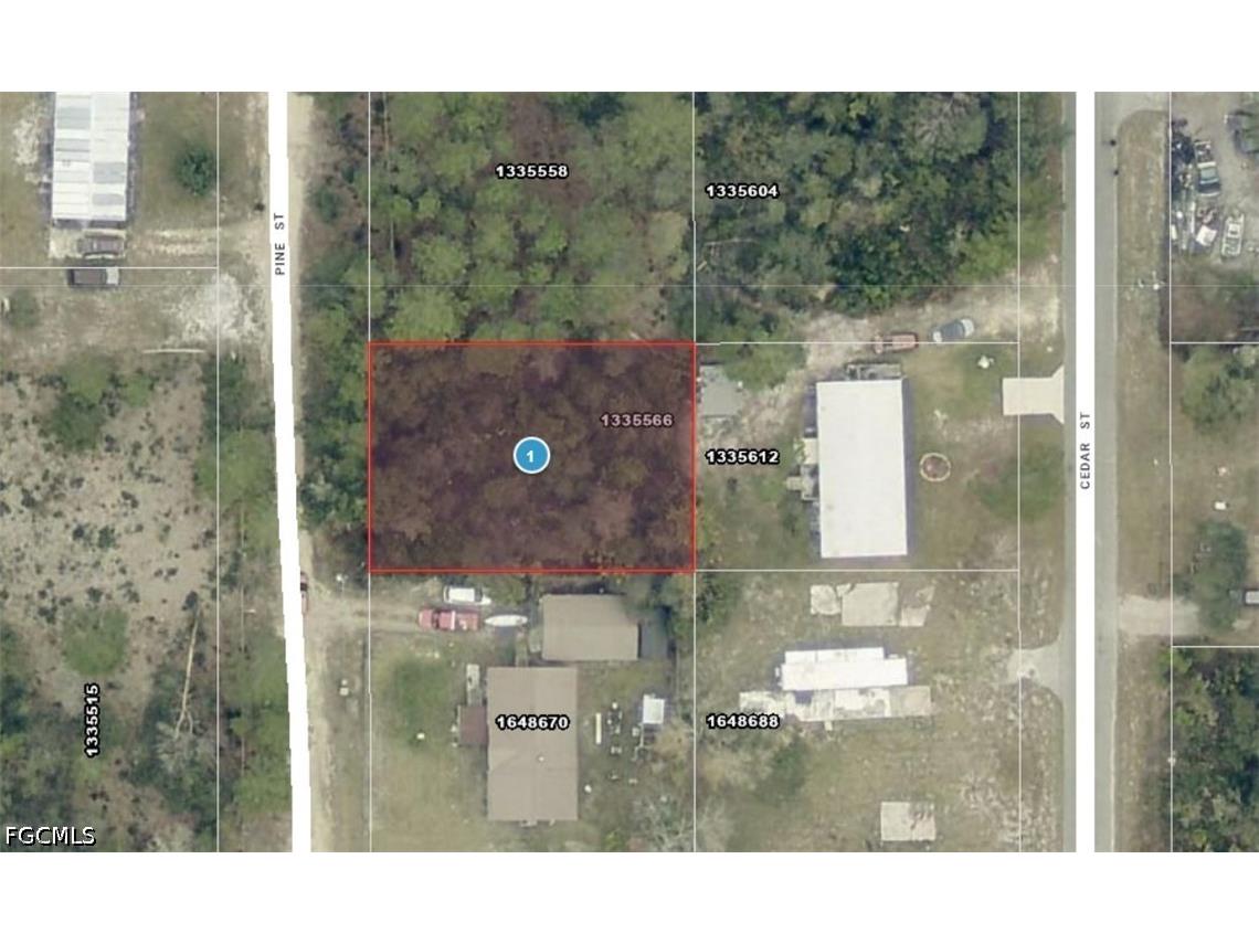 14-17-28-0200-009-01400 Pine Street Paisley FL 32767 2026020549 image1