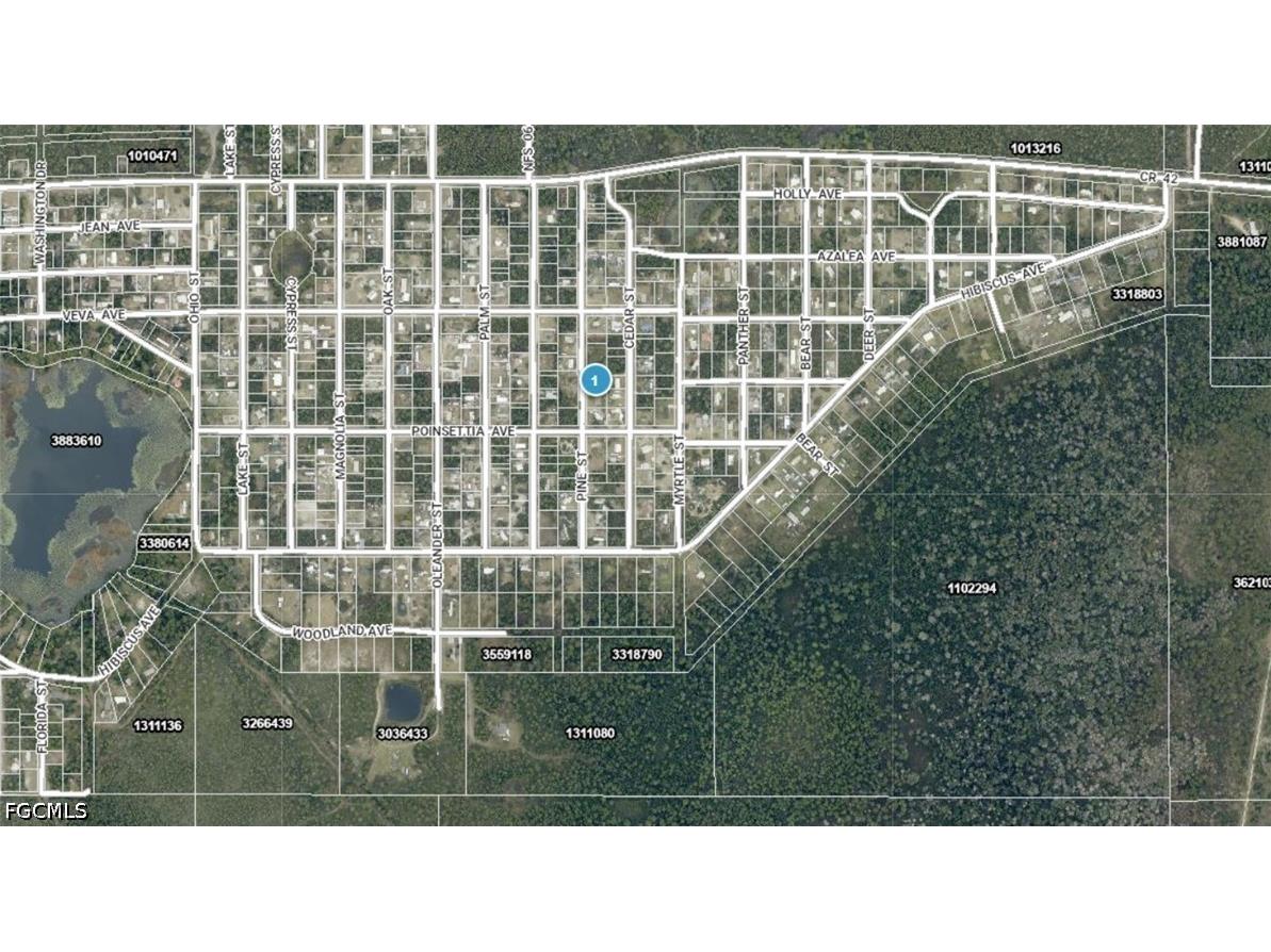 14-17-28-0200-009-01400 Pine Street Paisley FL 32767 2026020549 image3