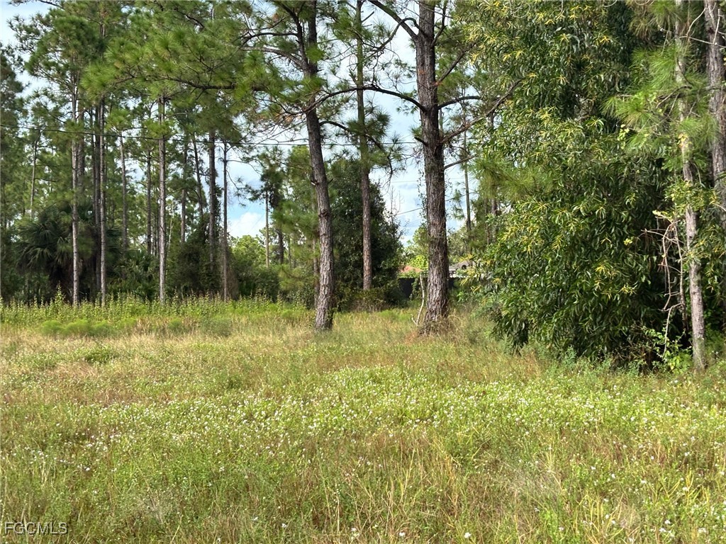 14 W 10th Street Lehigh Acres FL 33972 2025016442 image10