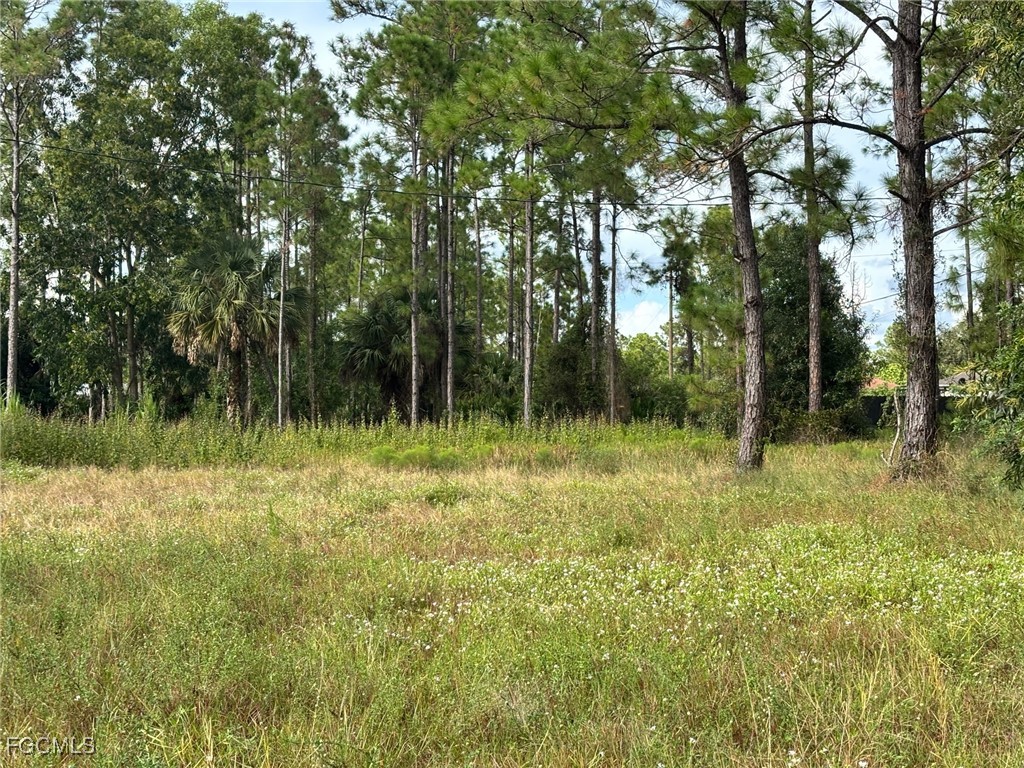 14 W 10th Street Lehigh Acres FL 33972 2025016442 image11