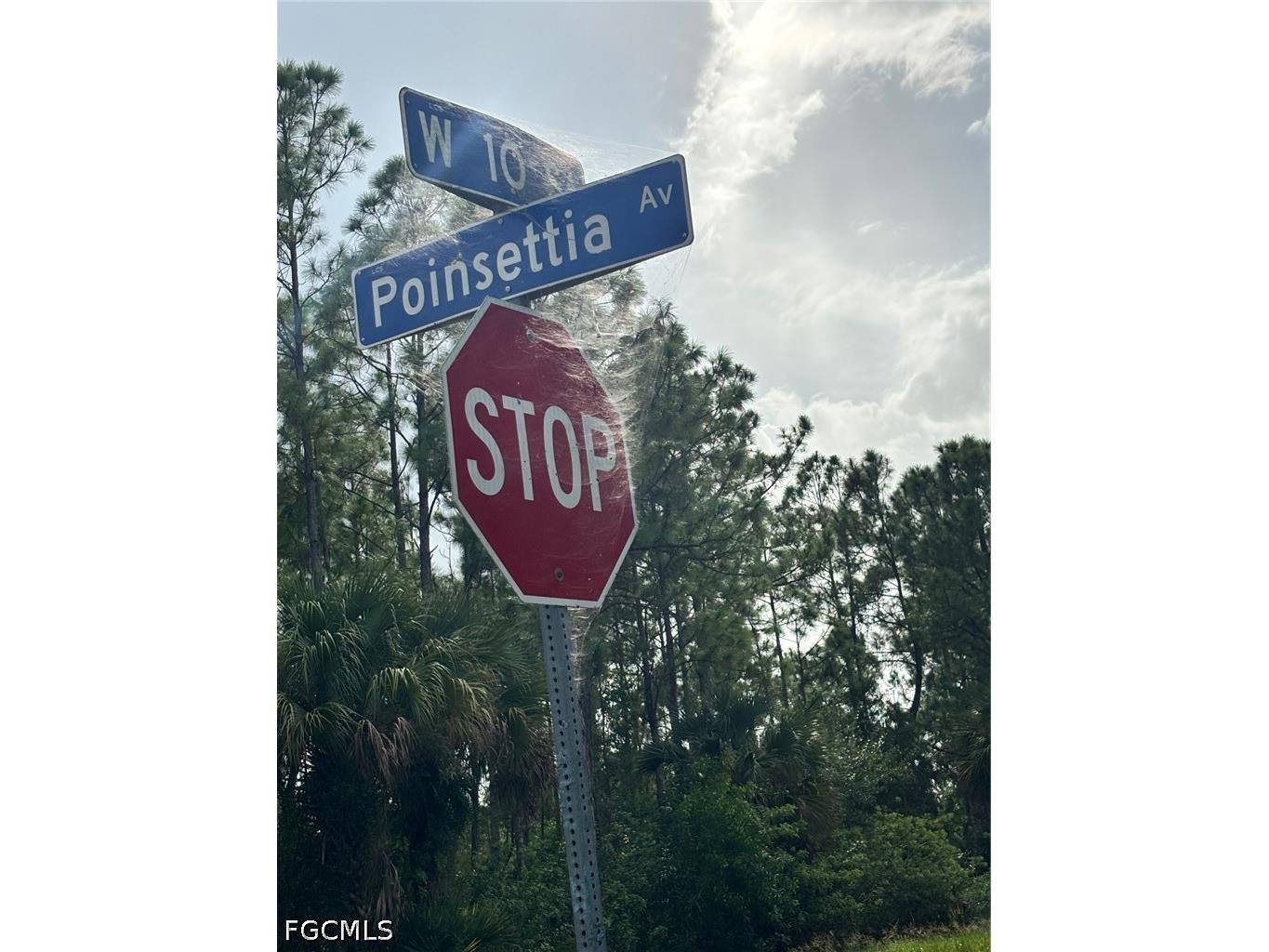 14 W 10th Street Lehigh Acres FL 33972 2026024579 image8