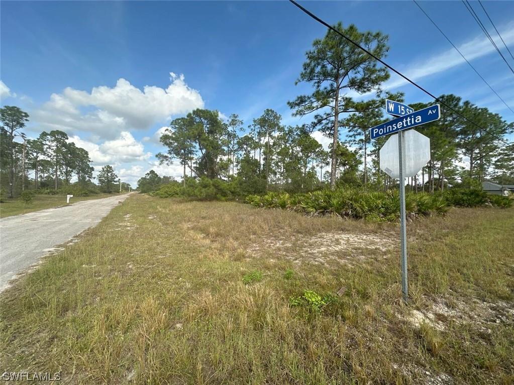 14 W 15th Street Lehigh Acres FL 33972 223089219 image1