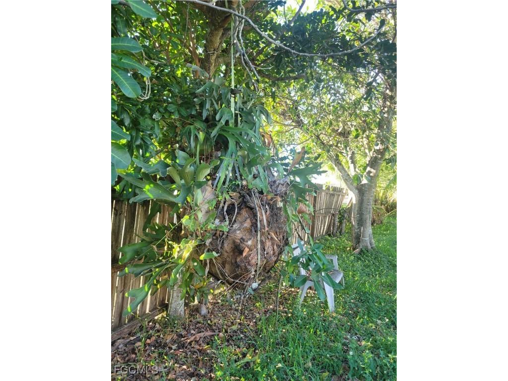 140 Fairview Avenue Fort Myers FL 33905 2025023219 image11