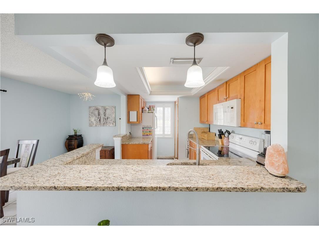 1400 Pompei Lane #43 Naples FL 34103 225066629 image13