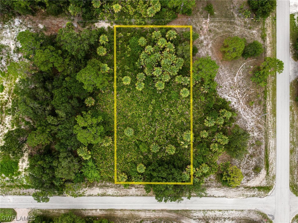 1402 Columbus Avenue Lehigh Acres FL 33972 223051523 image1