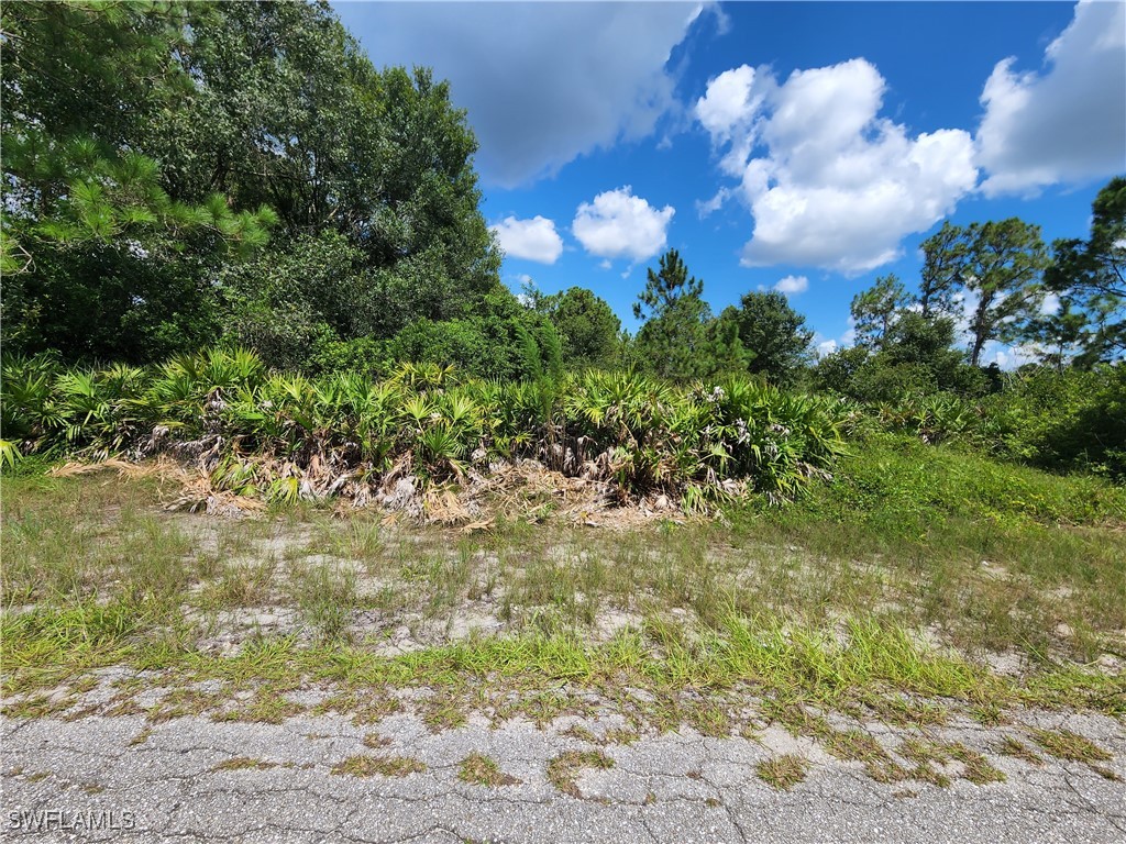 1402 State Avenue Lehigh Acres FL 33972 225068512 image1