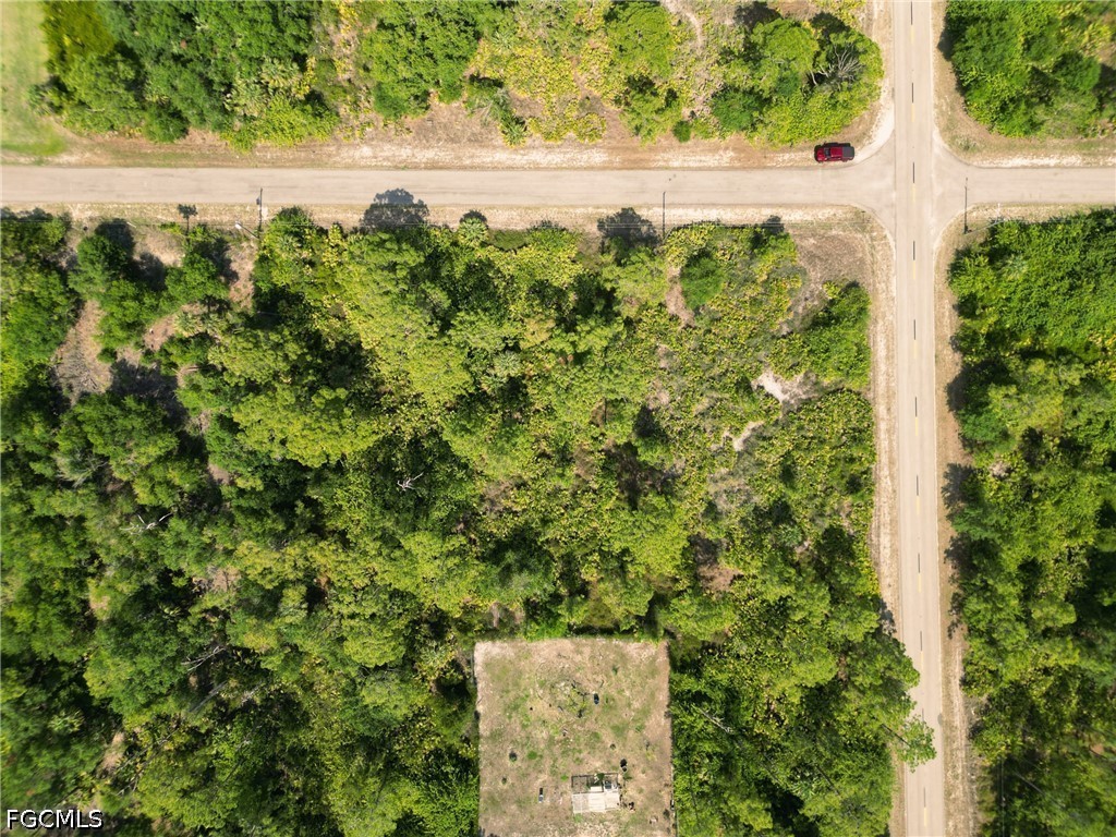 1403 Clark Avenue Lehigh Acres FL 33972 2026024379 image5
