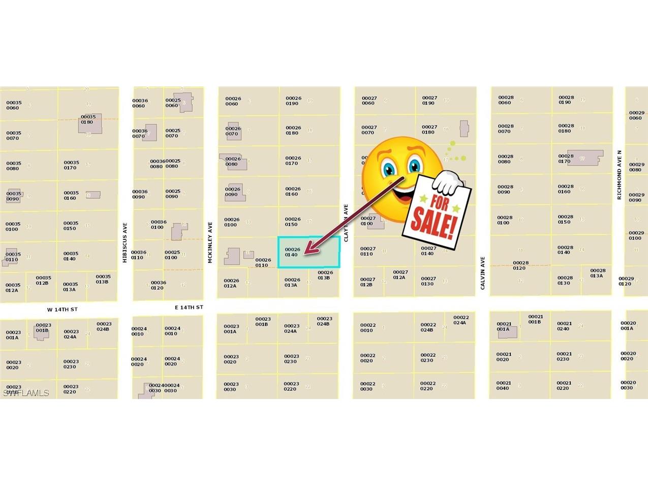 1403 Clayton Avenue Lehigh Acres FL 33972 223018036 image1