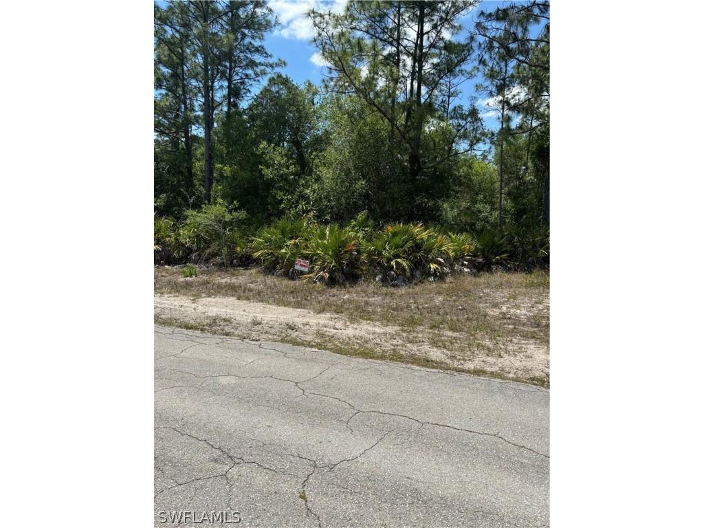 1403 Columbus Avenue Lehigh Acres FL 33972 224036206 image1