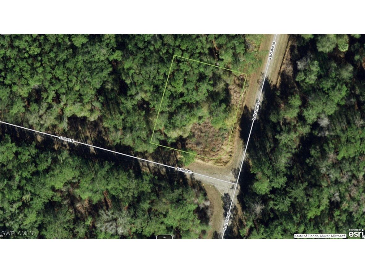 1403 E Urmey Place Citrus Springs FL 34434 224081887 image1