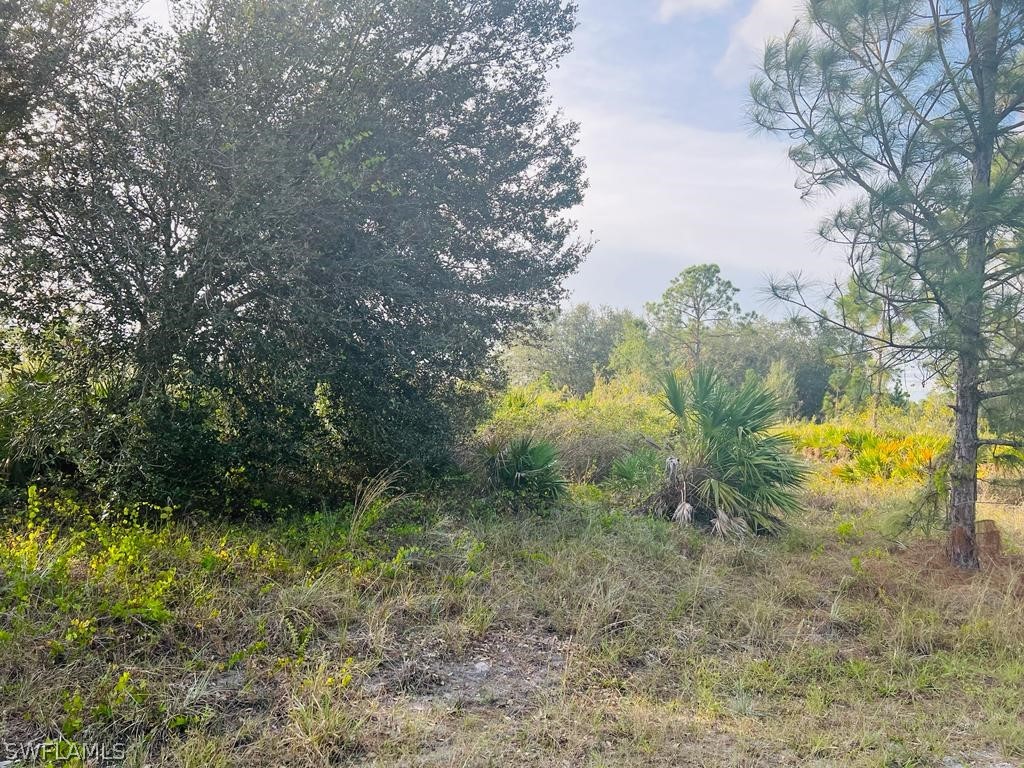 1403 Edison Avenue Lehigh Acres FL 33972 223003959 image1