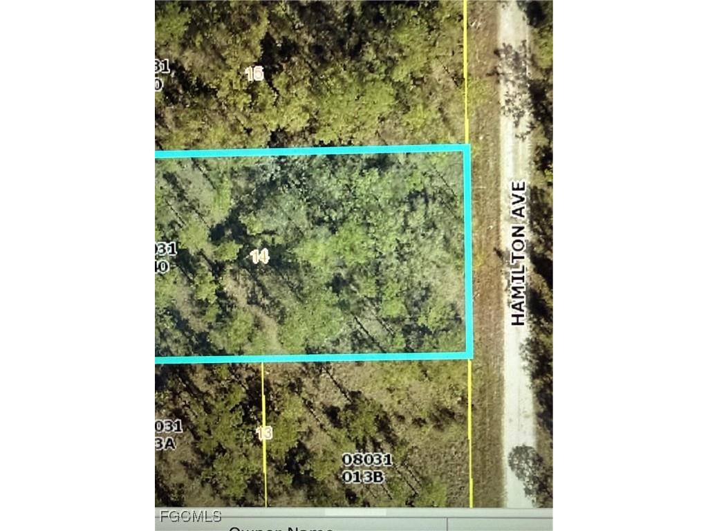 1403 Hamilton Avenue Lehigh Acres FL 33972 2025022490 image1