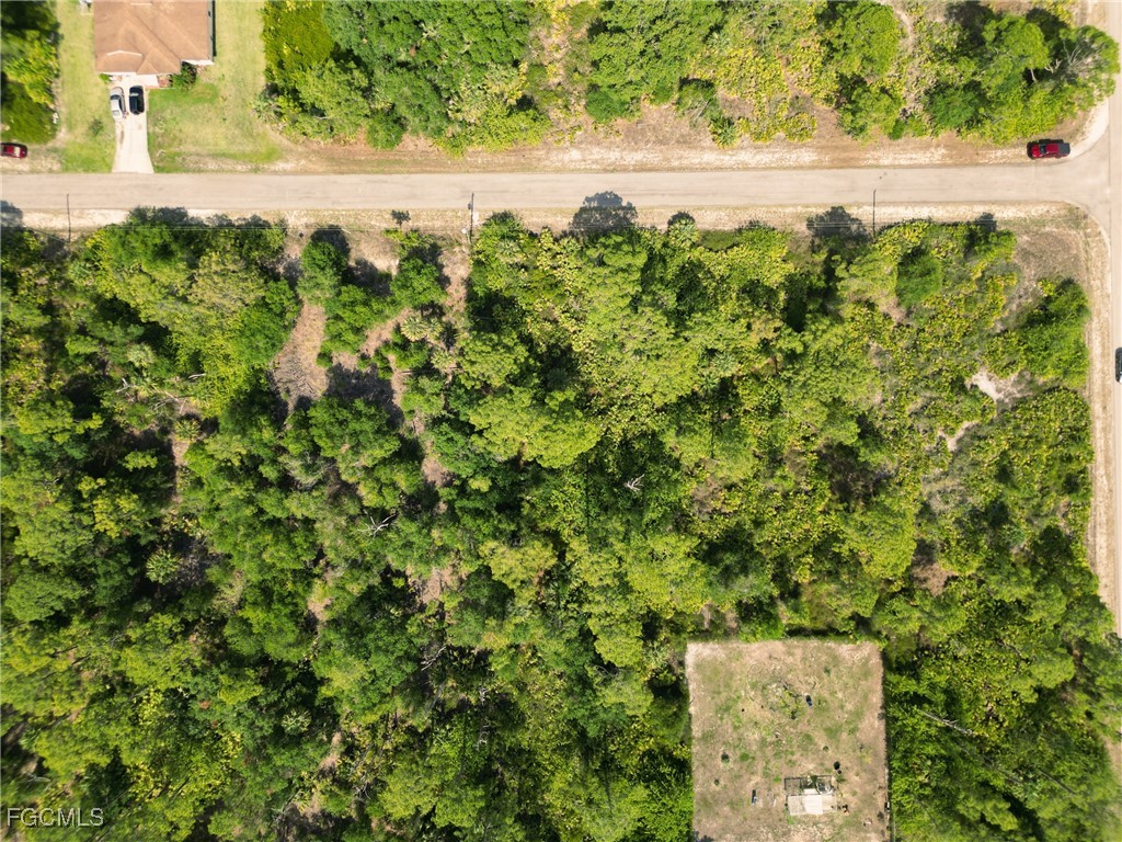 1405 Clark Avenue Lehigh Acres FL 33972 2025013003 image4