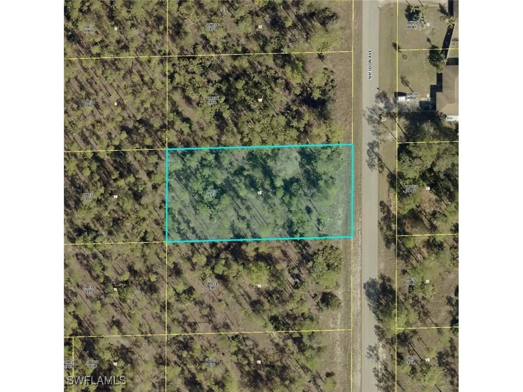 1405 Sheldon Avenue Lehigh Acres FL 33972 225072300 image1