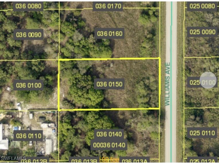 1405 Williams Avenue Lehigh Acres FL 33972 224079738 image1