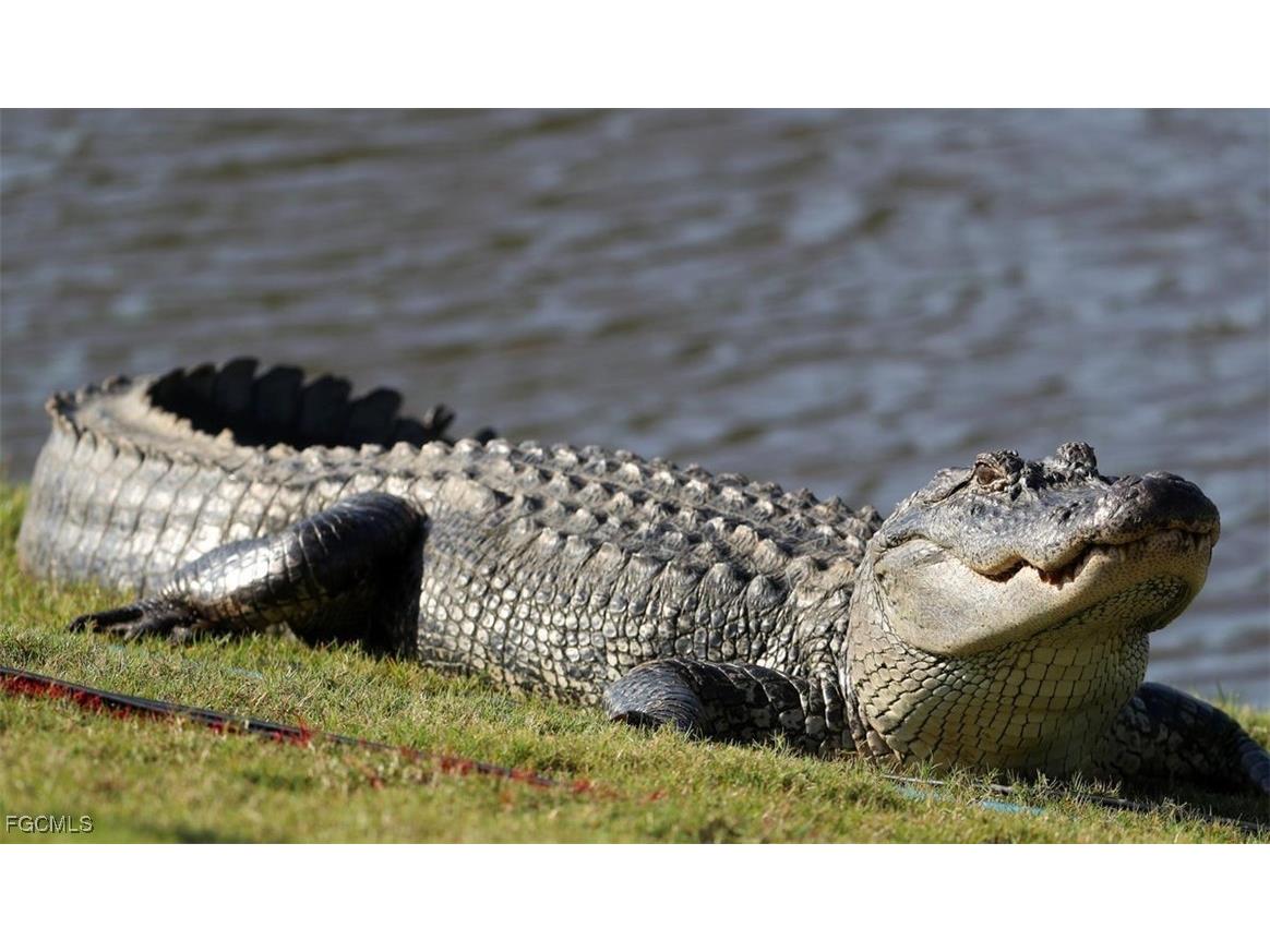 14051 Brant Point Circle #8106 Fort Myers FL 33919 2025020592 image42