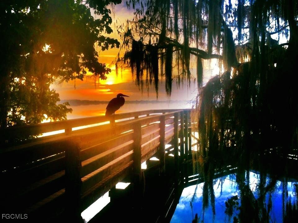 14051 Brant Point Circle #8106 Fort Myers FL 33919 2025020592 image49