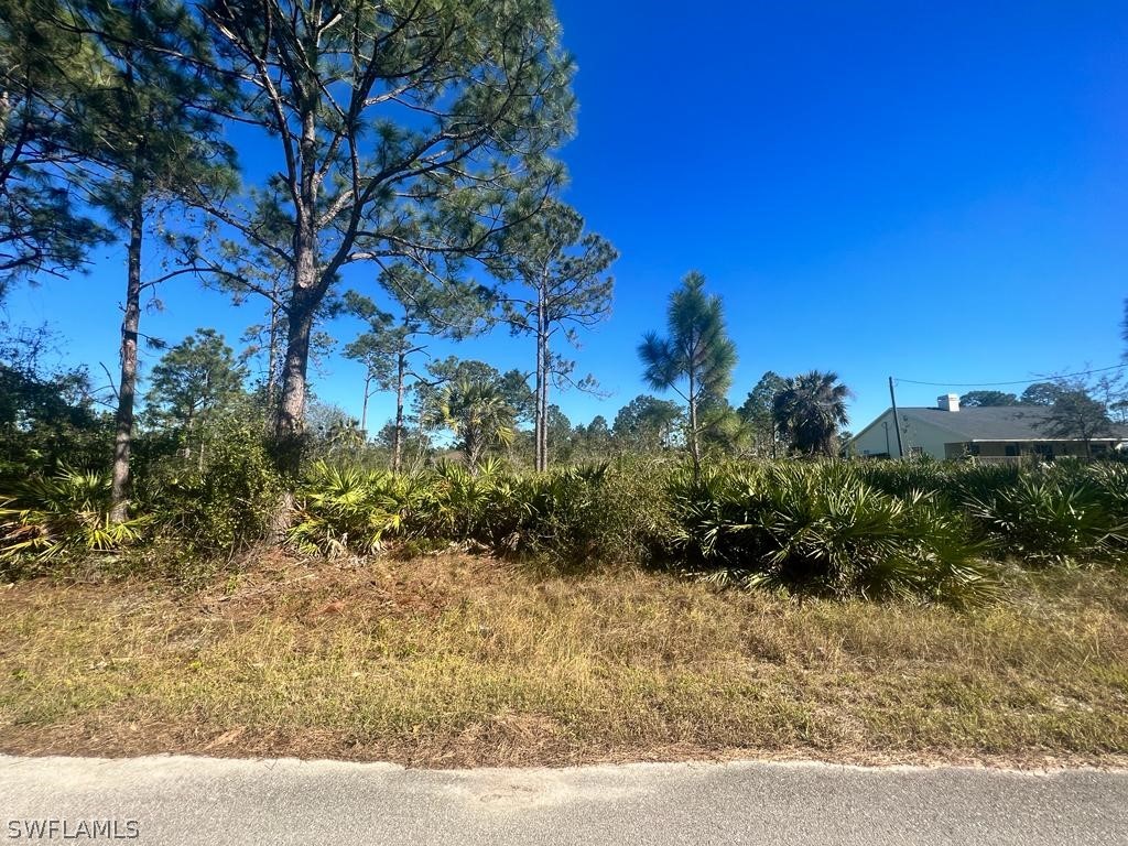 1406 Cortez Avenue Lehigh Acres FL 33972 223002498 image1