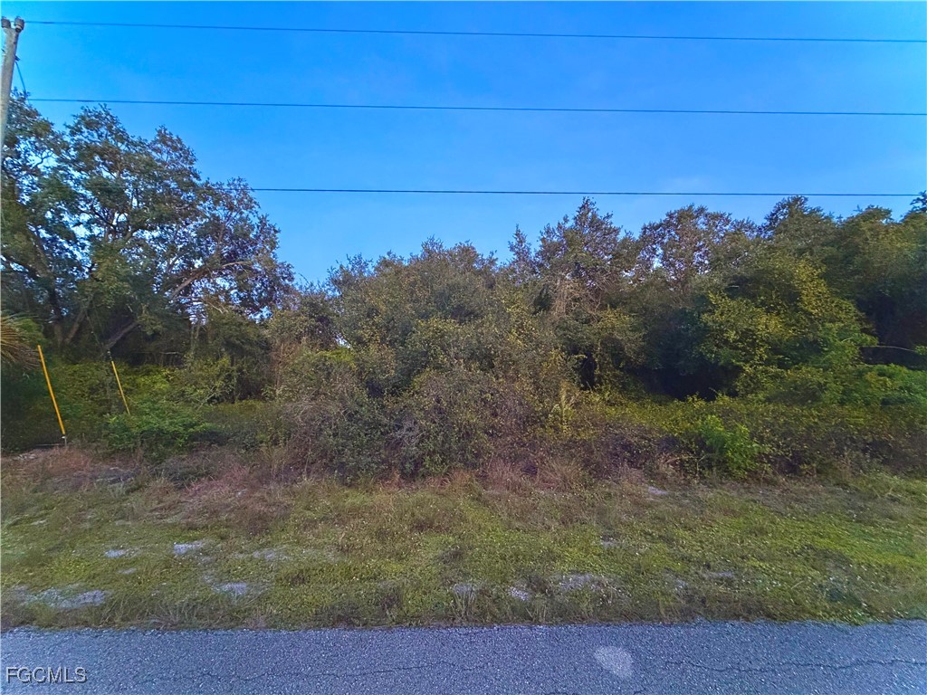 1406 Monroe Avenue Lehigh Acres FL 33972 2025019539 image1