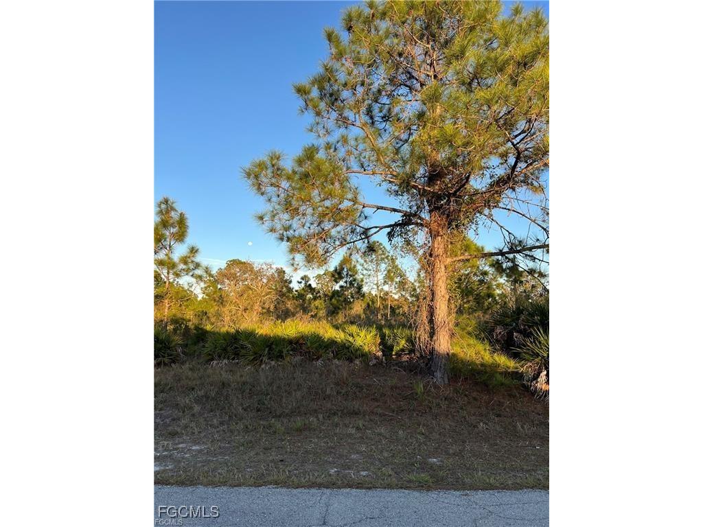 1406 Oak Avenue Lehigh Acres FL 33972 2025007051 image7